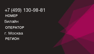 4991309881